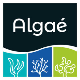 logo-algae-e1691502850501
